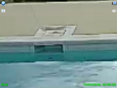 fullsizeoutput_1a1a.jpeg